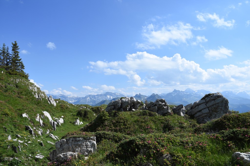 Glarus_Chummböden