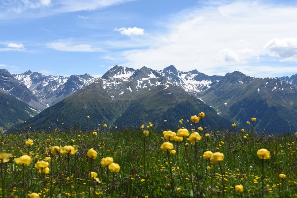 Aussicht auf Engadiner Dolomiten