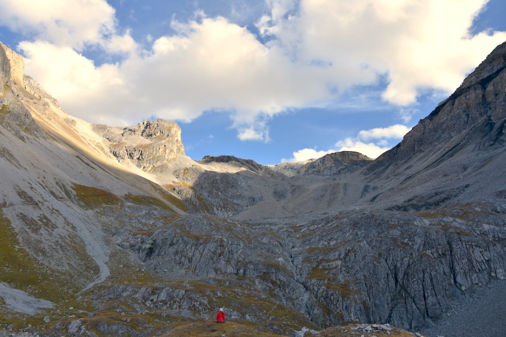Chamanna Lischana_Steinboecke in der Ferne