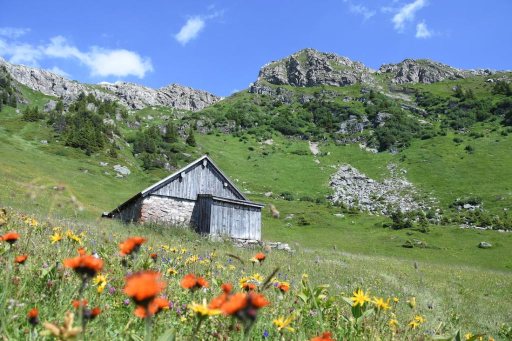 Glarus_Bi den Seelenen_Alp