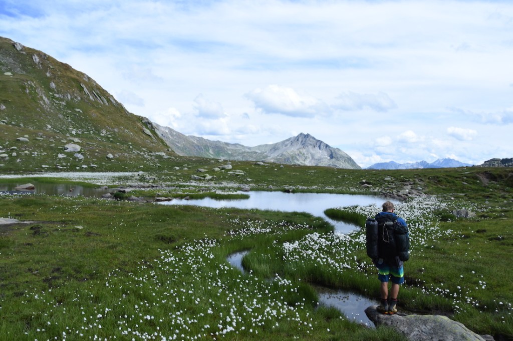 Wandern_Gotthard_5Seen_Blumen